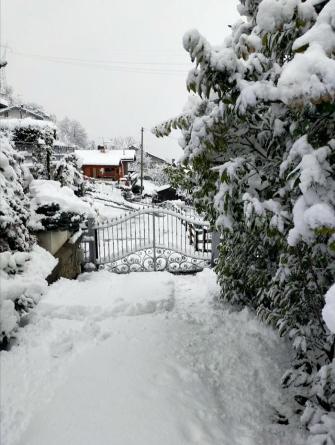 La Sarrolein Cir 0009 * Aosta