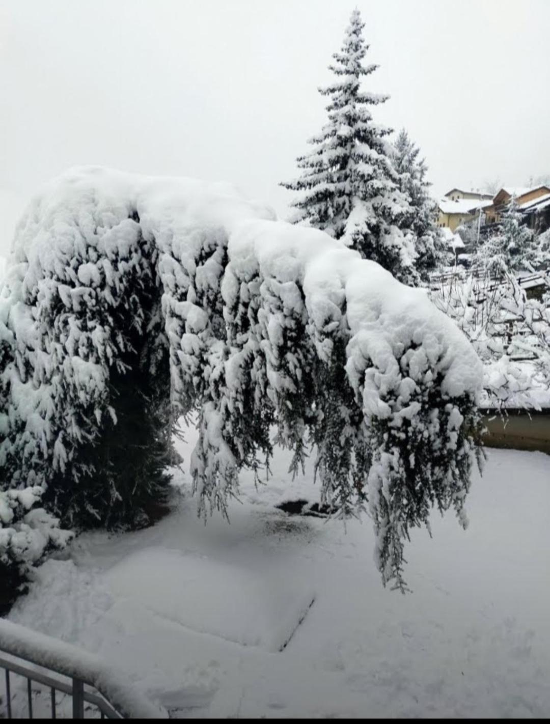 Holiday home La Sarrolein Cir 0009 Aosta